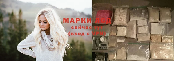 прущие грибы Магас
