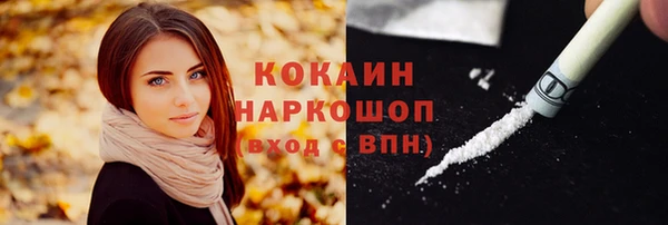 прущие грибы Магас