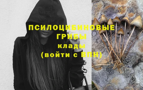 марихуана Белокуриха