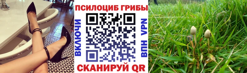 Галлюциногенные грибы ЛСД  закладки  Пионерский 